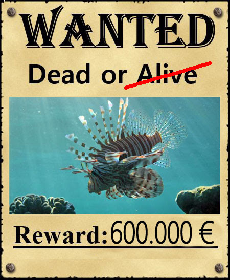 Απίστευτο! Επικηρυχτήκαν ψάρια-δολοφόνοι προς 600.000 ευρώ!